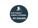 SCOTTSDALE CARPET CLEANING BY SHAWN logo